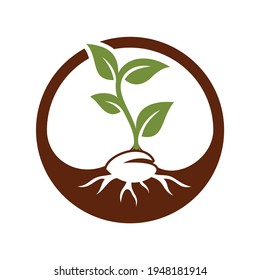 Design-Vektorgrafik-Vorlage für Seetransportlogo