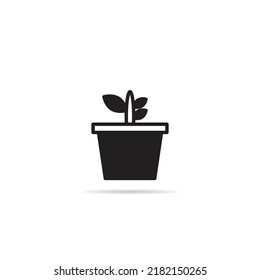 seed in plant pot icon vector illustration