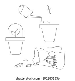 Seed planting scheme. Pumpkin seeds, a pot with a seedling under the dome, seeds. Suitable for illustrating planting and growing seedlings. Flat linear vector illustration.