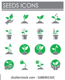 Seed related icons set on background for graphic and web design. Creative illustration concept symbol for web or mobile app.