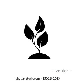 Seed and seeding icon vector. Eps 10