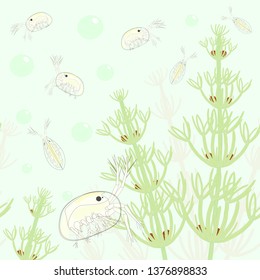 Seed shrimps (ostracods) pattern