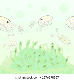 Seed shrimps (ostracods) pattern