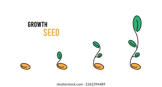 Seed and sprout different progress illustration