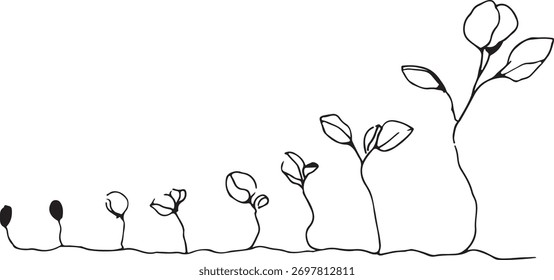 Semente para brotar estágios de crescimento silhueta de arte de linha, mudas preto e branco mínimas evoluindo ao longo de uma linha do tempo, conceito.
