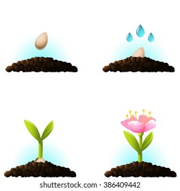 Seed sprout. set of vector icons. eps 10