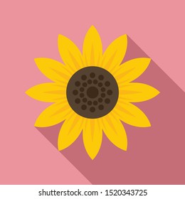 Seed sunflower icon. Flat illustration of seed sunflower vector icon for web design
