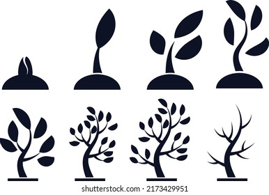 Seed to Tree grow up Collection Silhouettes Premium Vectors	
