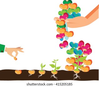 seed to tree, Planting idea process info graphic vector