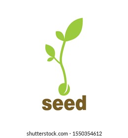 seed vector collection for logo or icon ready to use