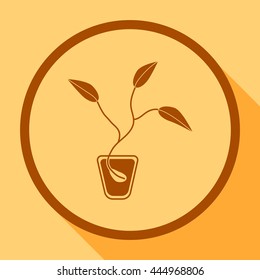 Seed vector icon.