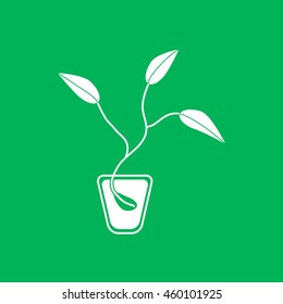 
Seed vector icon.