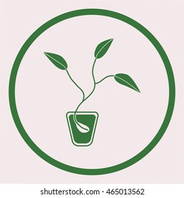 
Seed vector icon.