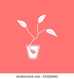 
Seed vector icon.