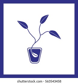 
Seed vector icon.