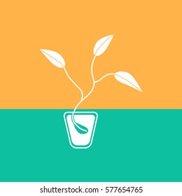 
Seed vector icon.
