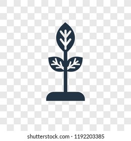 Seed vector icon isolated on transparent background, Seed transparency logo concept