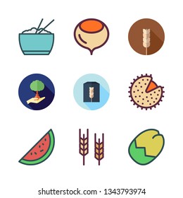 seed vector icon set