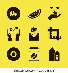seed vector icons set. with hand seeds, hands sprout, hand sprout and coffee jar in set