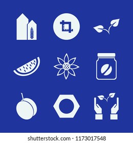 seed vector icons set. with wheat harvest growth, sunflower, apricot and coffee jar in set