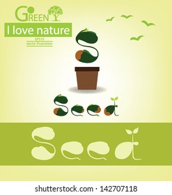 seed vector illustration