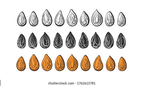 Seed vector set. Art line nuts, black shape, sketch sign. Collection of isolated on white background. Bio food. Organic milk, natural oil. Hand drawn objects