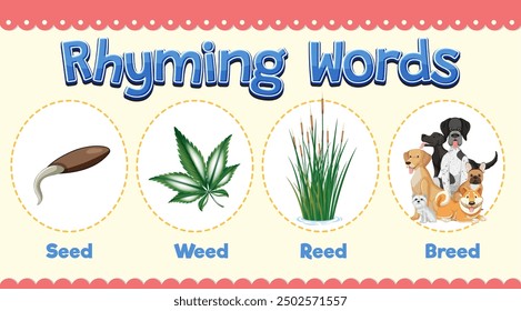 Seed, weed, reed, and breed rhyming words