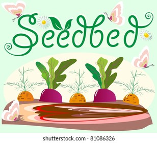 Seedbed