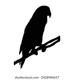 seed-eating bird vector silhouette design