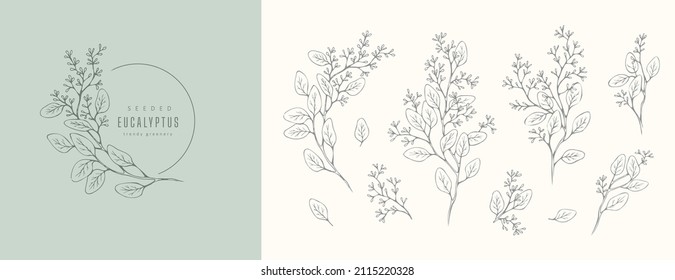 Seeded eucalyptus logo and floral branch. Hand drawn wedding herb, plant and monogram with elegant leaves for invitation save the date card design