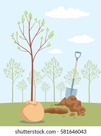 Seeding fruit tree. Planting tree. Save trees - day of forests. Orchard planting. Vector illustration