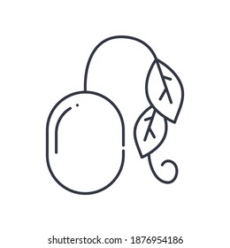 Seeding icon, linear isolated illustration, thin line vector, web design sign, outline concept symbol with editable stroke on white background.