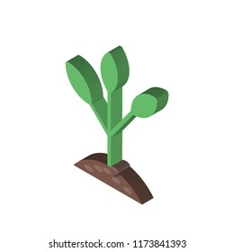 Seeding isometric left top view 3D icon