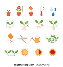 Seeding & planting instructions steps, pruning shears, watering icons set