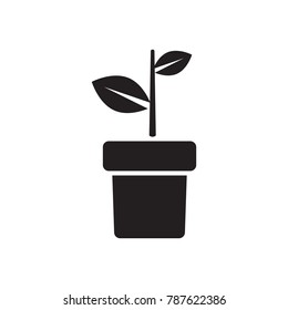 Seedinlig icon vector