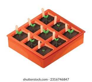 Seedling box with planted growing plant sprouts with leaves. The concept of gardening and farming. Vector isolated cartoon illustration.