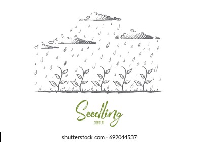 Seedling concept. Hand drawn young plant watered by rain. Seedling growth isolated vector illustration.