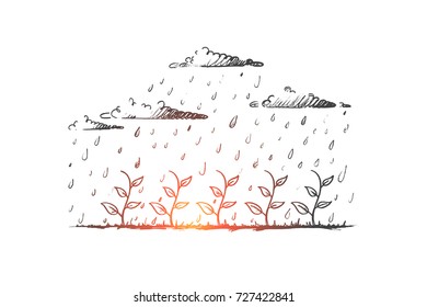 Seedling concept. Hand drawn young plant watered by rain. Seedling growth isolated vector illustration.