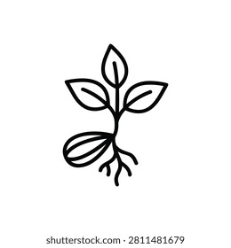 Seedling with Cotyledons Icon Containing plant sprout, seed leaves, gardening, and outline icon. Outline icon