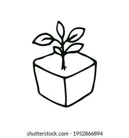 Seedling in doodle style. Gardening. Template for postcard, banner, poster, web design. Hand Drawn vector illustration.