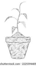 Seedling in a flower pot. Low-poly design of interconnected lines and dots. White background.