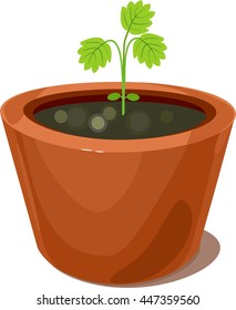seedling in flowerpots
