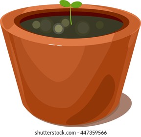 seedling in flowerpots
