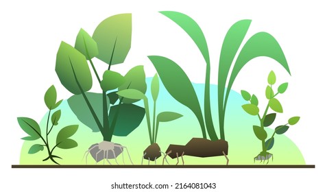 Seedling garden plants with roots. Sowing agricultural material. Isolated on white background. Vector.