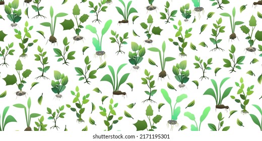 Seedling garden plants with roots. Sowing agricultural material. Seamless pattern. Isolated on white background. Vector.