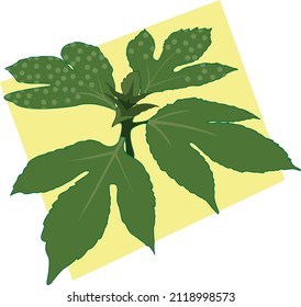 Seedling of Giant ragweed Ambrosia trifida with large three-lobed leaves on a yellow background - modern botanical vector illustration