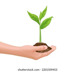 Seedling green growing from fertile ground in hand. Agriculture. Isolated on white background. Environmental protection concept. Realistic 3D vector EPS10 illustration. Vector EPS10.