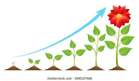 Seedling and growing. Planting timeline or growing stages cycle, green sprout on ground vector illustration