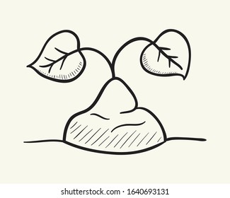 Seedling. Hand drawn vector illustration.