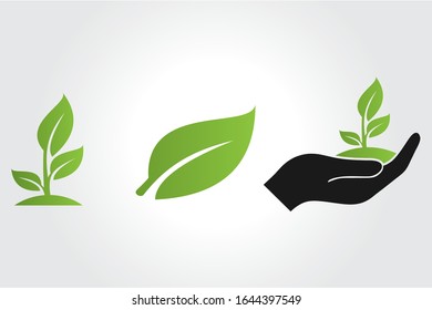 Seedling and hand with leaves vector icon	